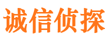 临潼找人公司